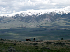 USA-Idaho-Medicine Lodge Cowboy Experience